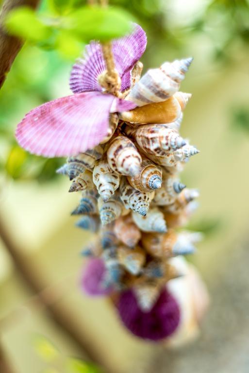 Chryssi myHome Kato Daratso Esterno foto